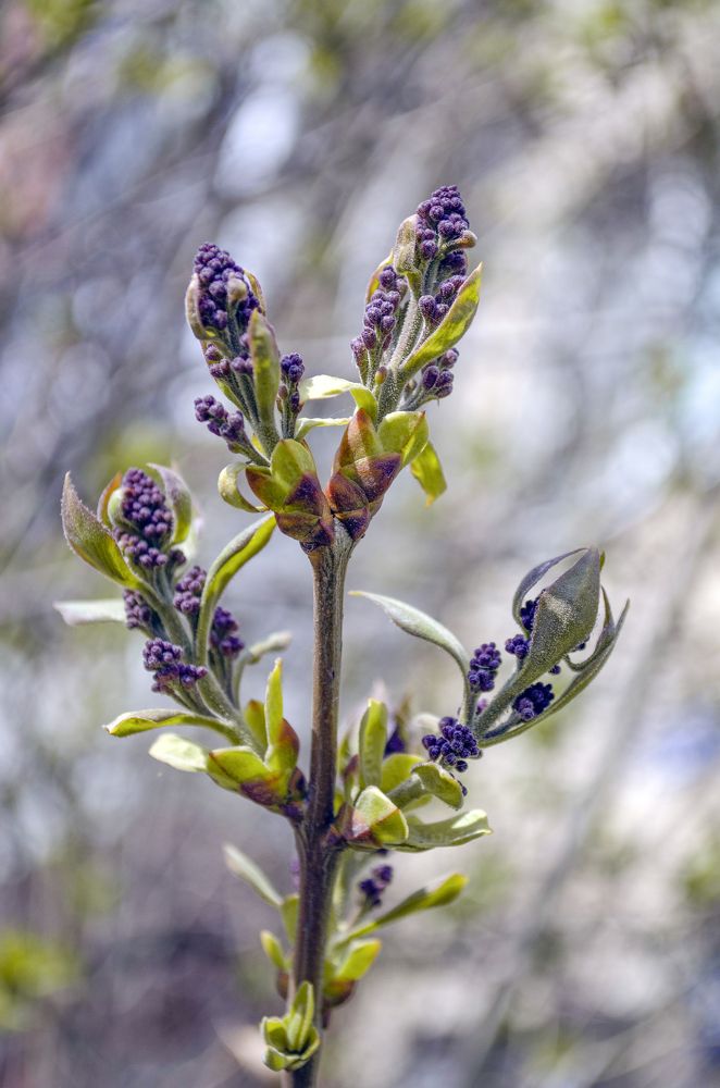 Photograph by Любовь Бусова