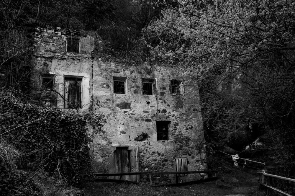 Photograph by Liliana Negoi