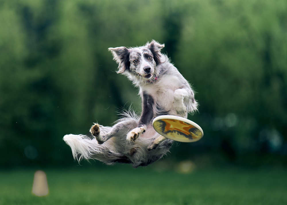 Photograph by Mikhail Khmelevskiy