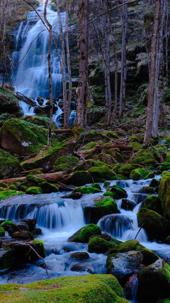 Photograph by Лора Филчева