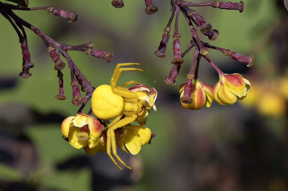 Photograph by Elena Kovrigina