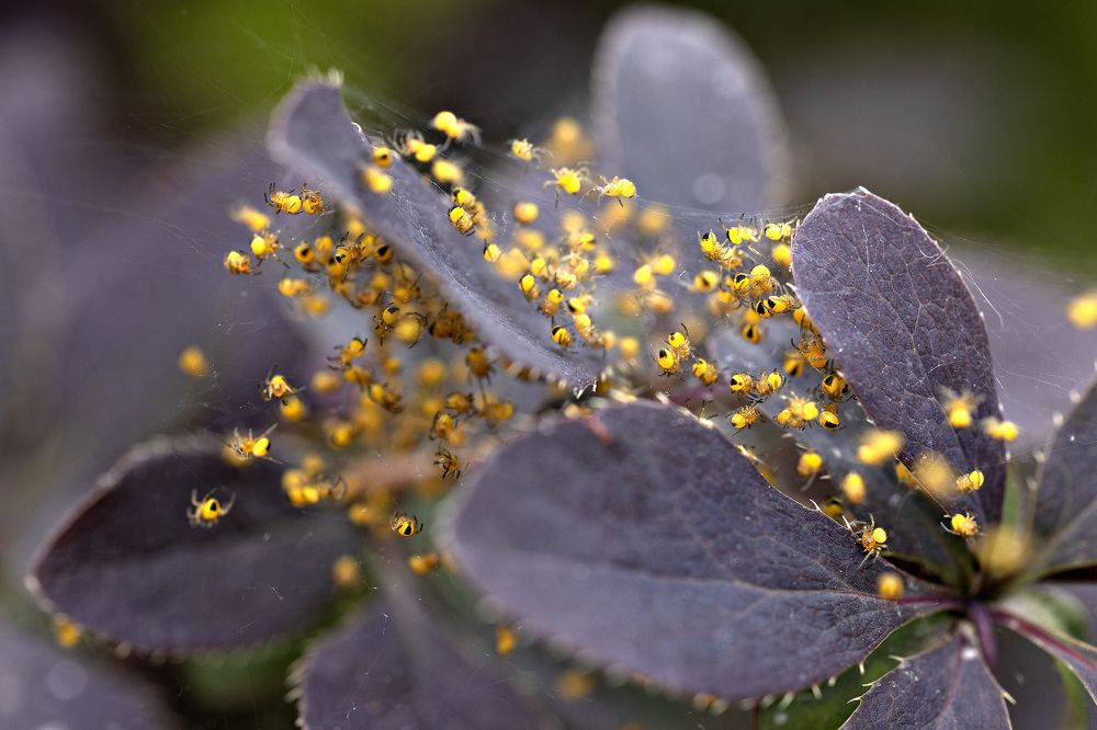 Photograph by Elena Kovrigina