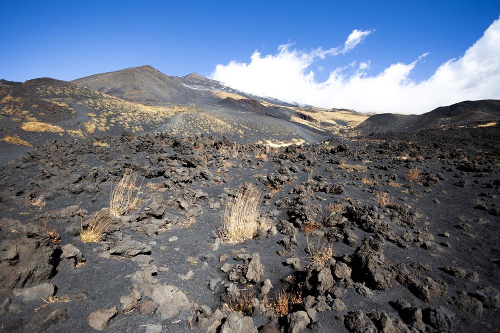 Фотография автора Inga Ivanova