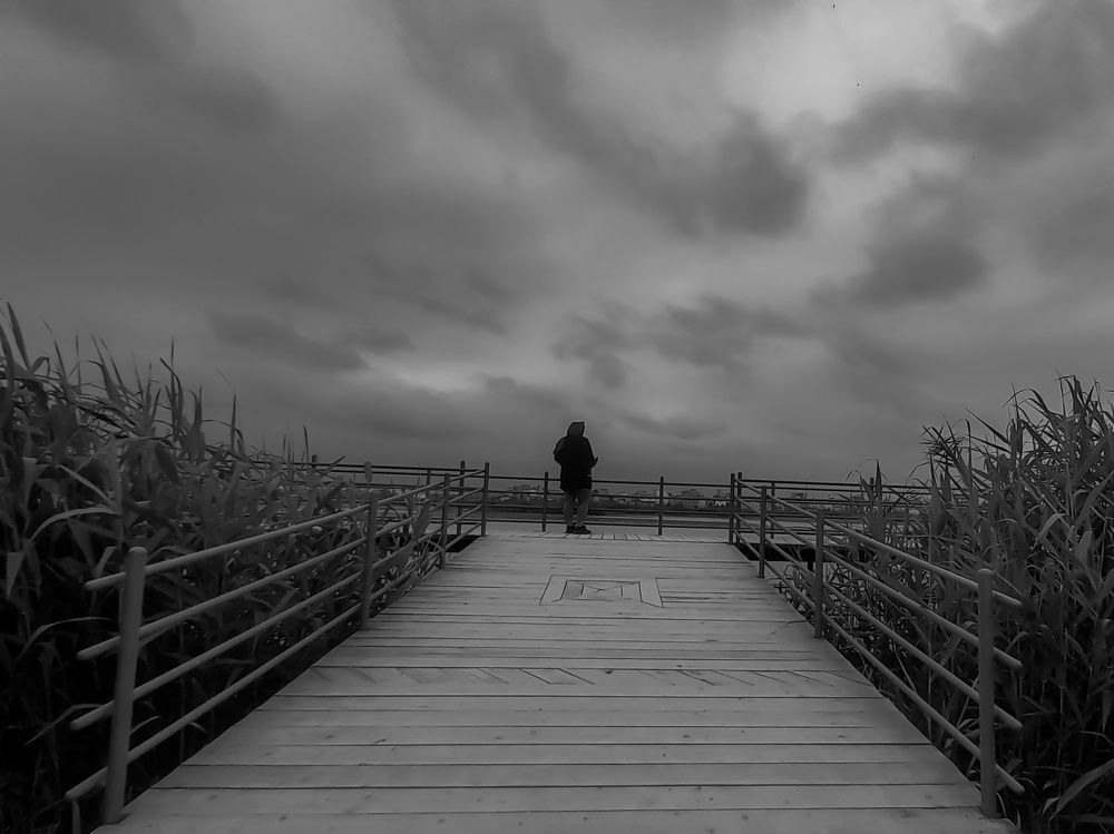 Photograph by mahdi ghanbari