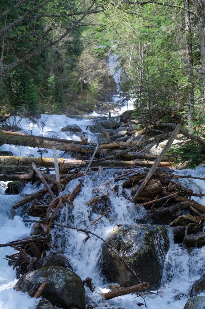 Photograph by Ирина Дегтярева