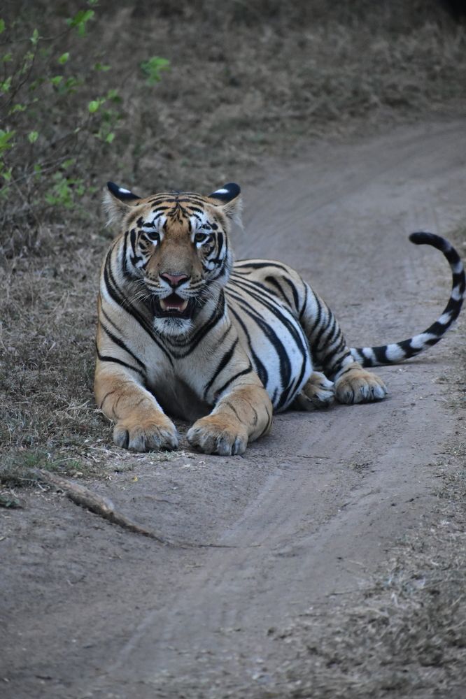 Photograph by Siddharth M(SIDDHU SP)
