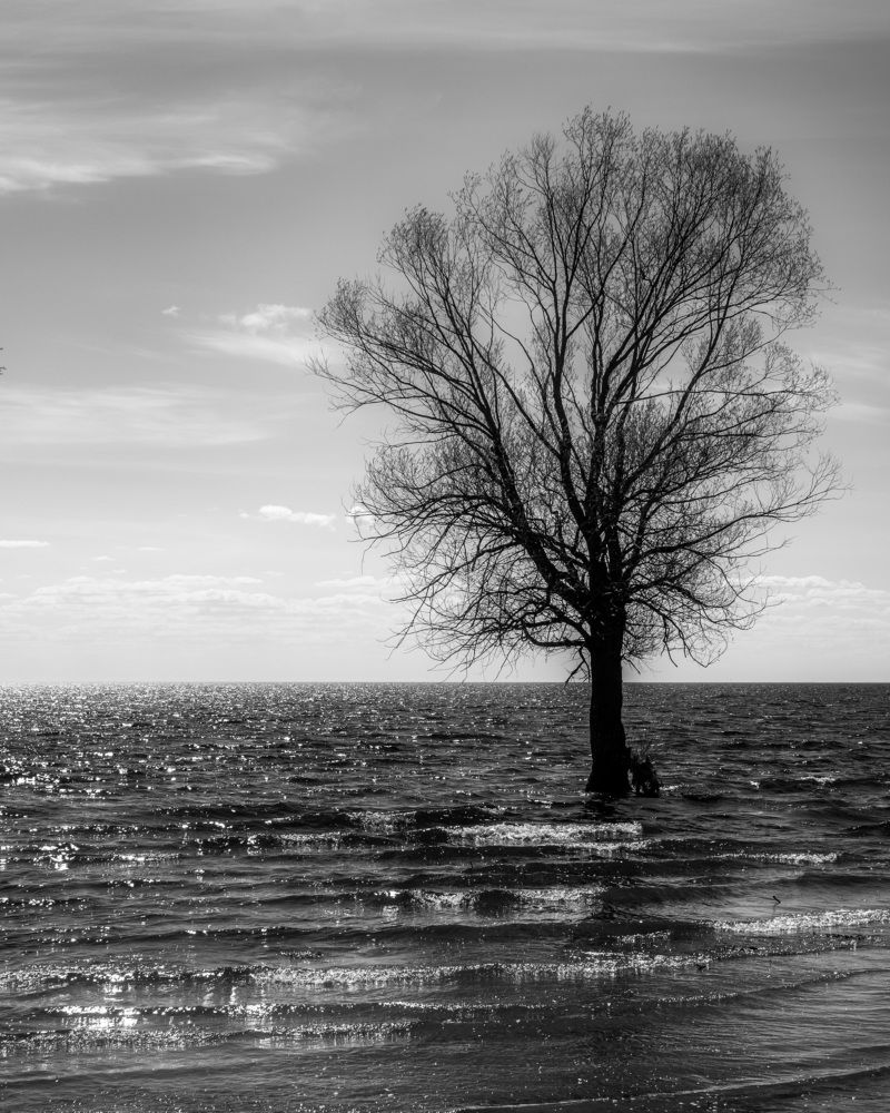 Фотография автора Вадим Поспелов