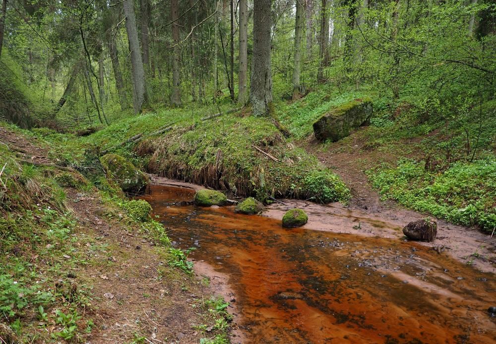 Май на Медвежке