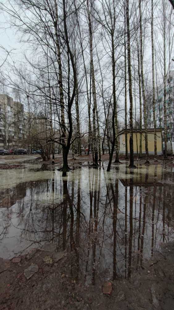 Photograph by Елена Юдина