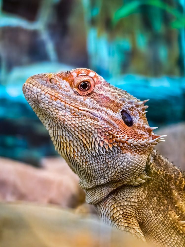 Photograph by Владимир Крылов