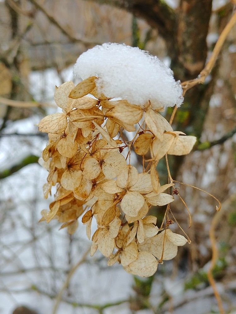 Photograph by Людмила Баглей