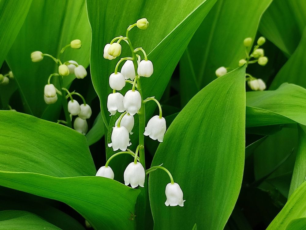 Photograph by Александр Коркин