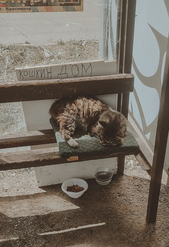 Photograph by Алексей Шевцов