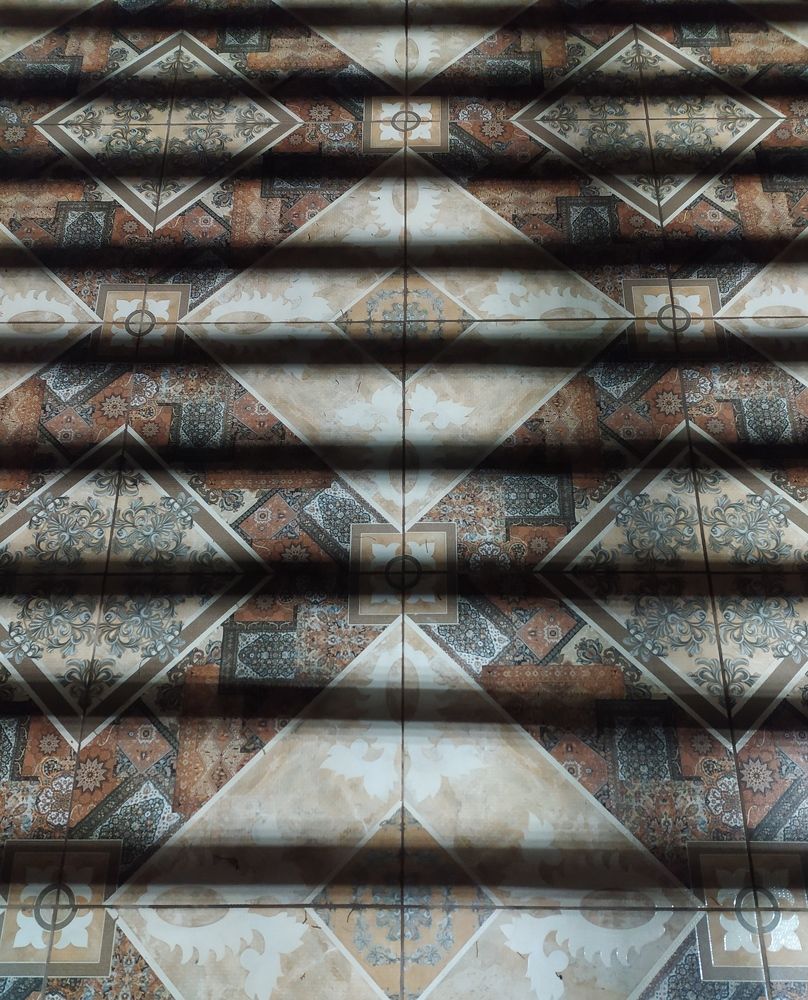 Фотография автора Елена Александрова