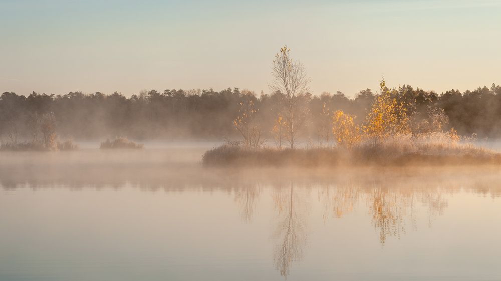 Photograph by Евгений Москвин