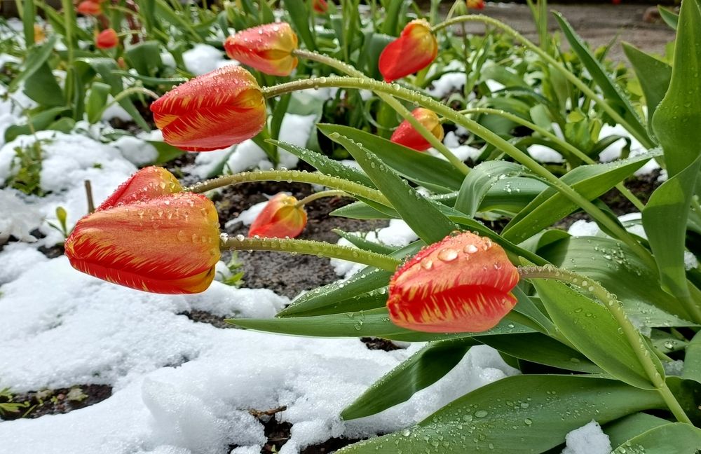 Фотография автора Татьяна Лукашева