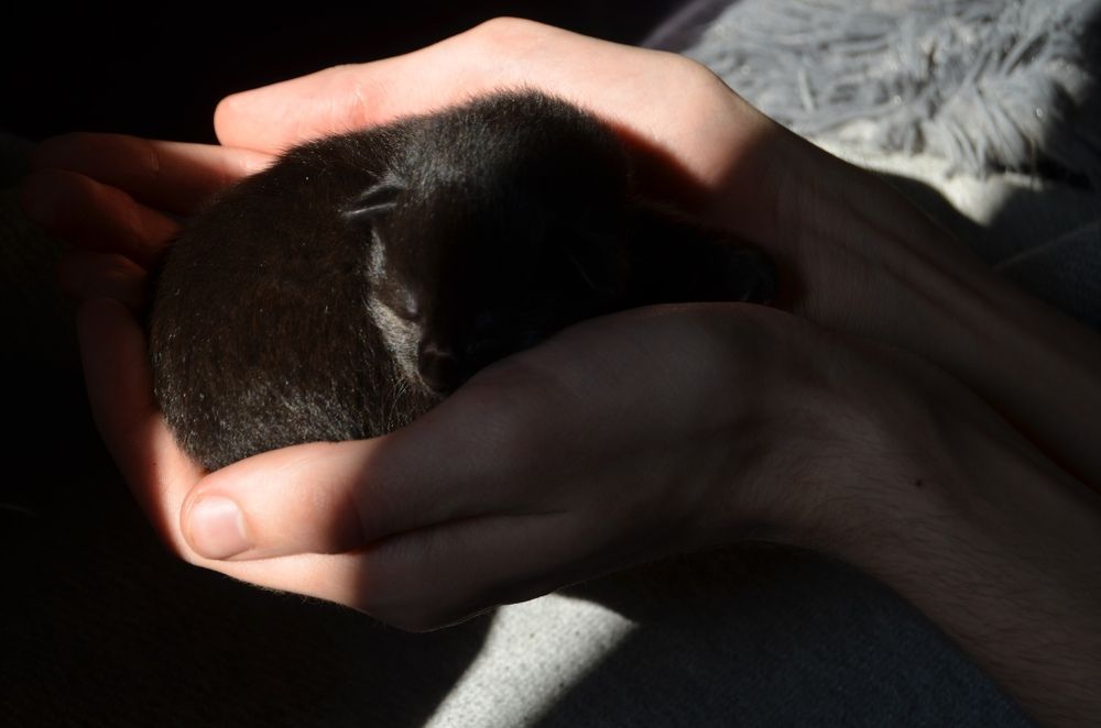 Фотография автора Антонина Клементьева