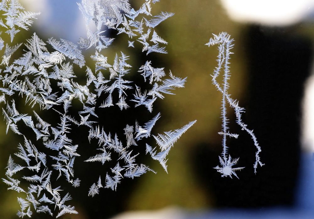 Слушать сюда!