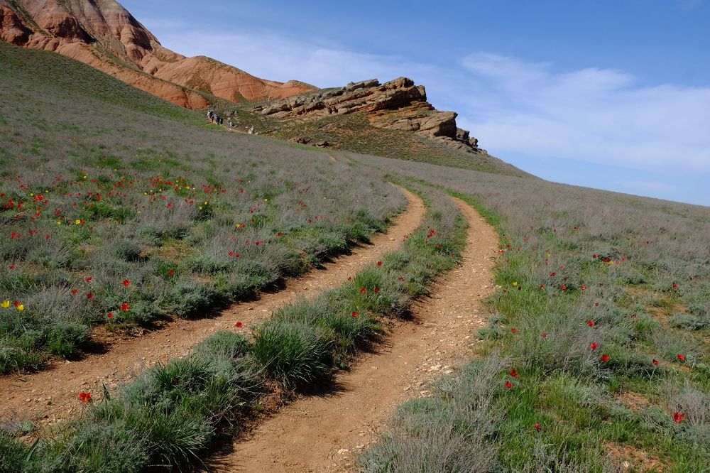 Photograph by Лариса Андреева