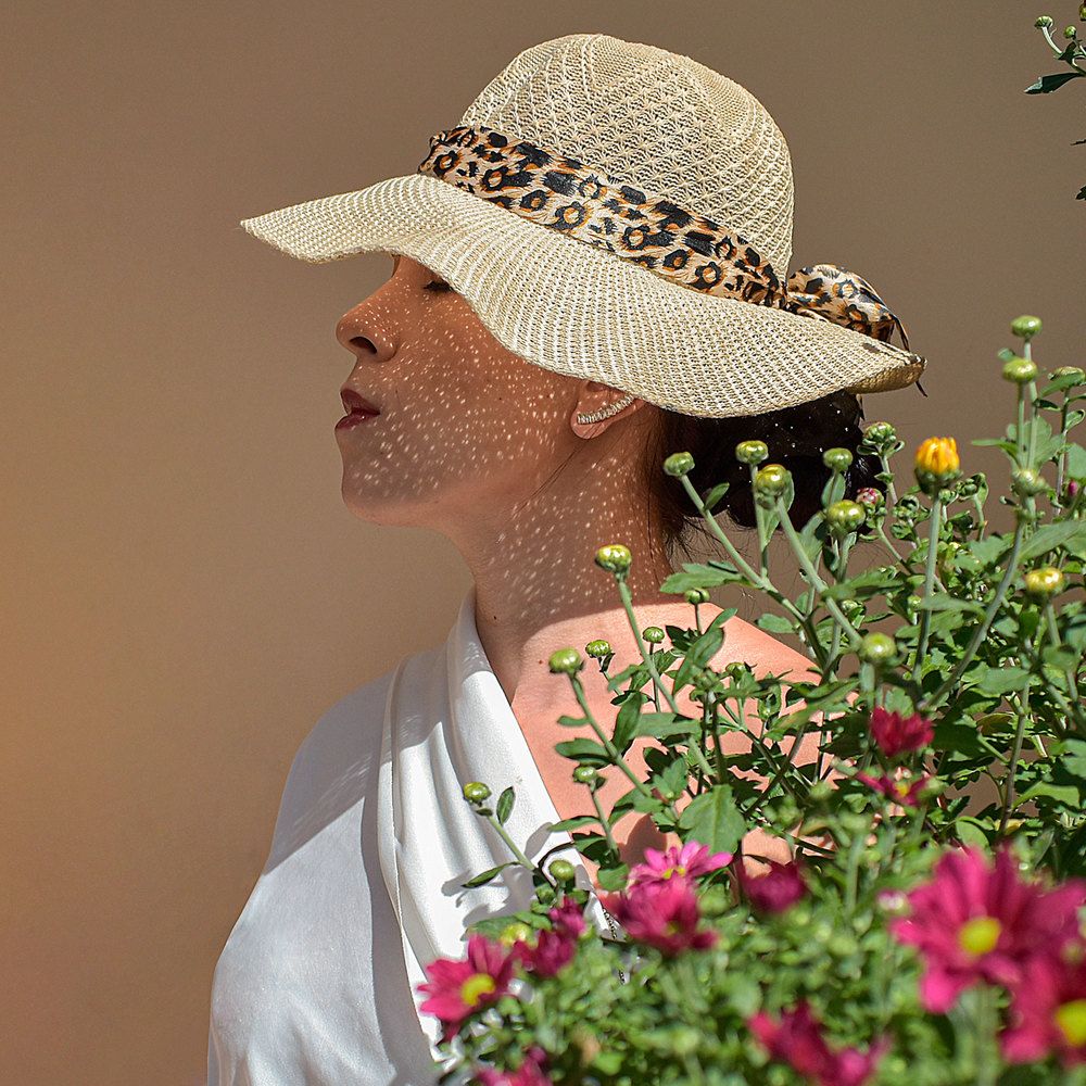 Chrysanthemums and morning quiet