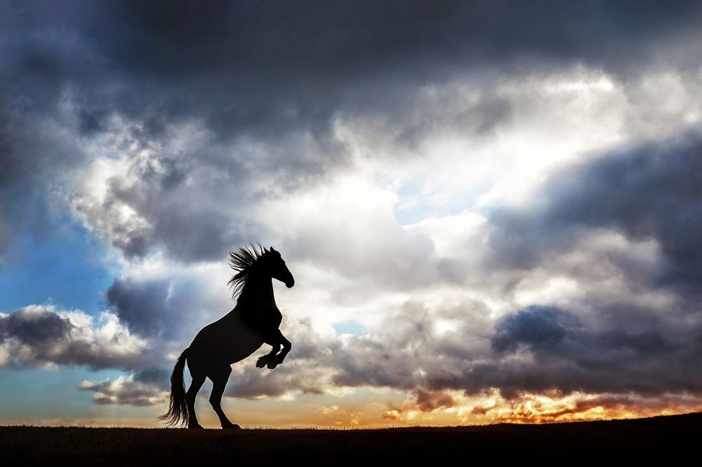 Photograph by Denisa Zbranková Albaniová