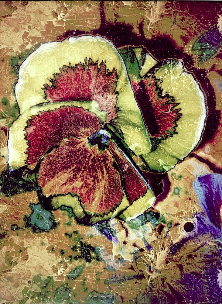 Photograph by Татьяна Олефиренко