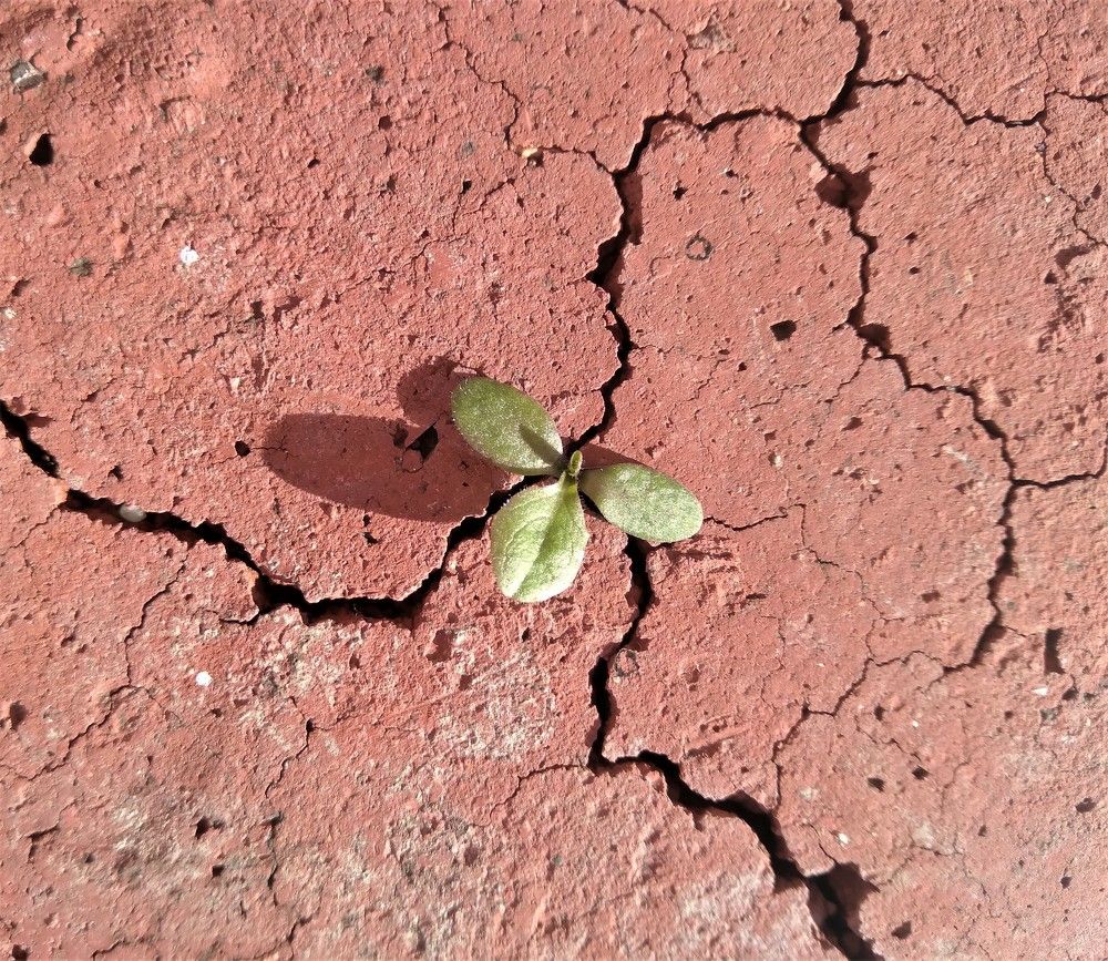 Photograph by Павел Вихрев