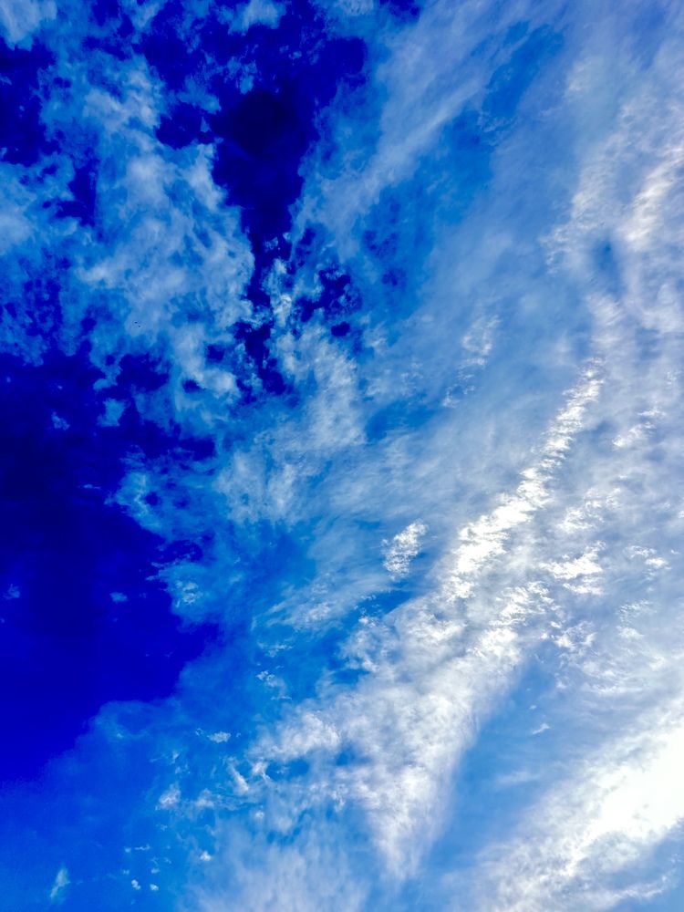 Photograph by ANDREY ZARUBIN