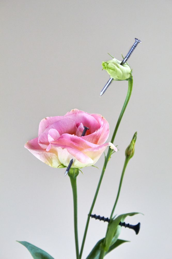 Photograph by Юлия Сусула