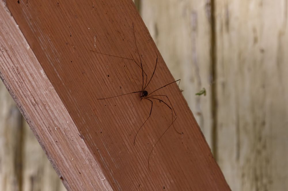 Photograph by Ольга Осинина