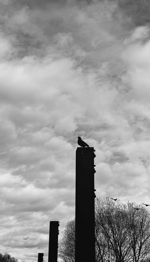 Photograph by Oxana Petlina