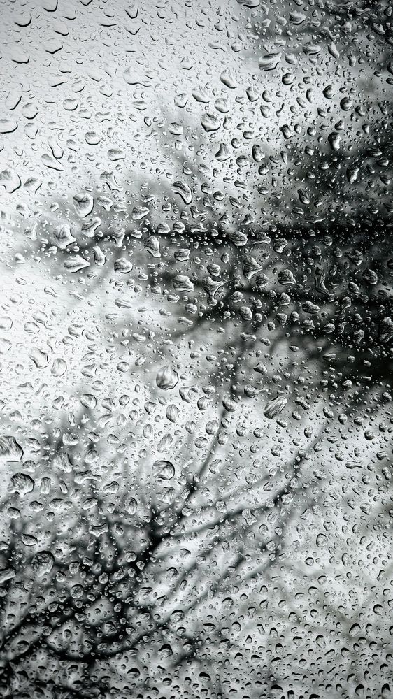 Photograph by Oxana Petlina