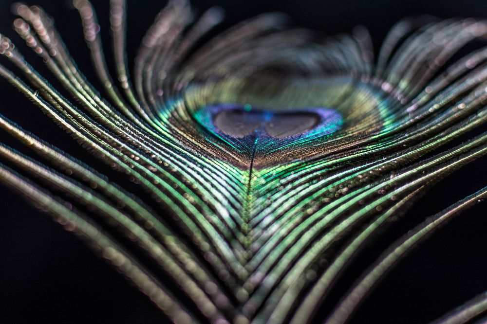 Photograph by Людмила Прибылова