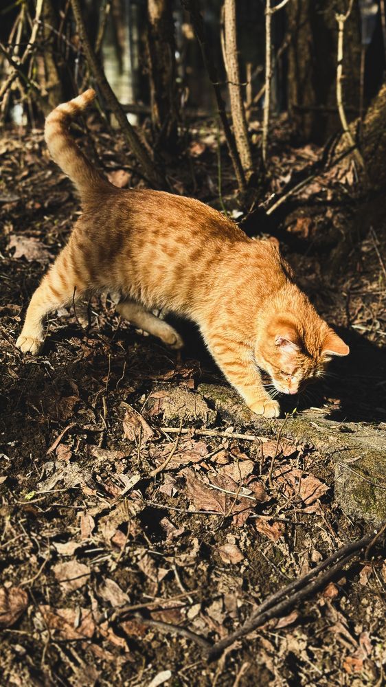 Photograph by Oxana Petlina