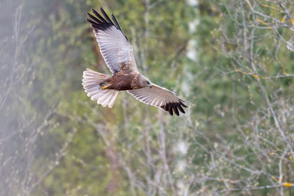 Photograph by Valerijs Bukovskis