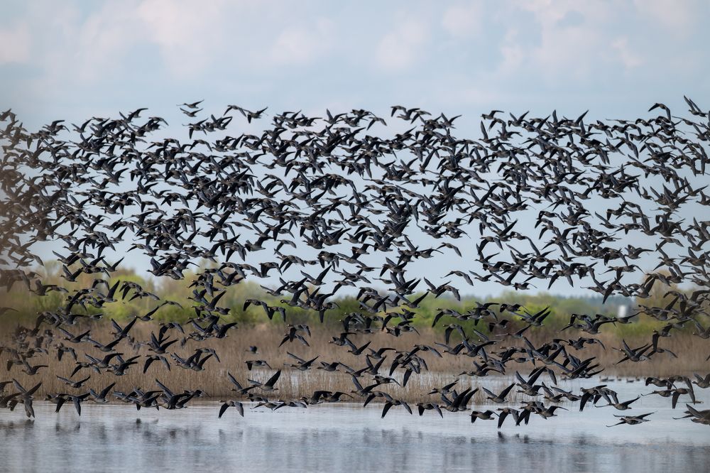 Photograph by Valerijs Bukovskis