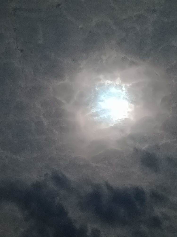 Photograph by Гульмира Кенжигарина