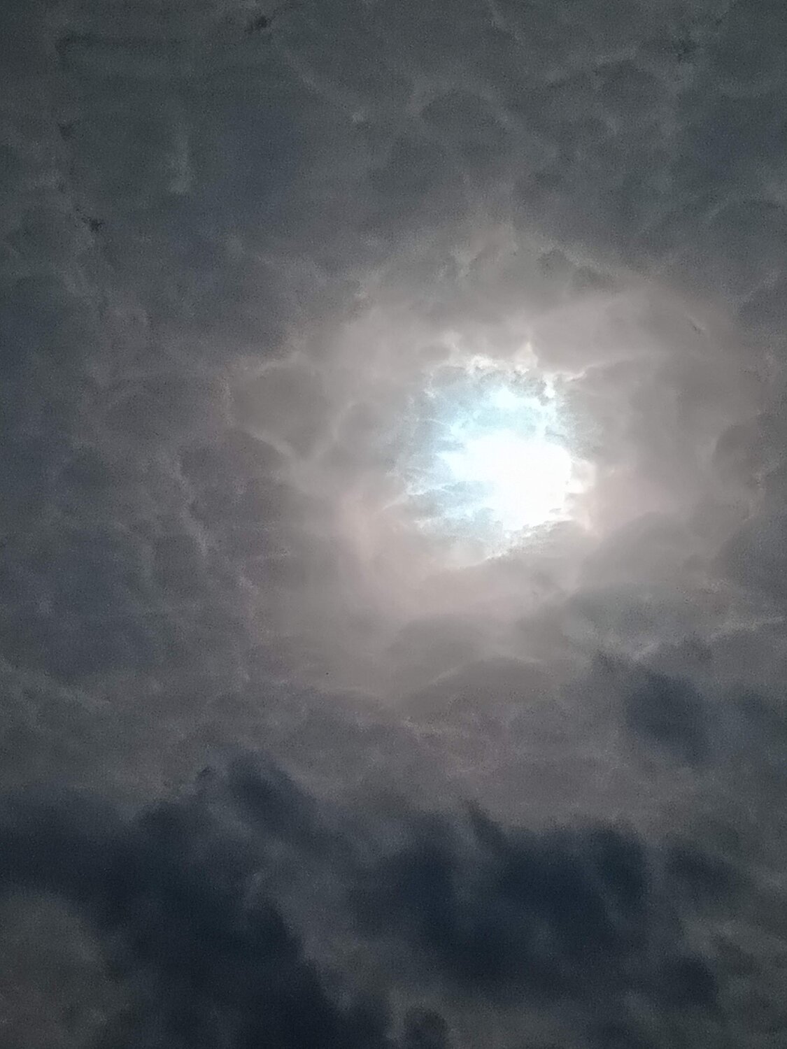 Photo #10588010