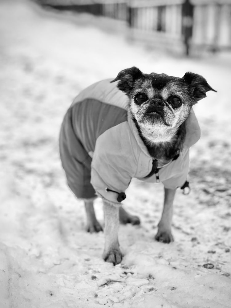 Photograph by Oxana Petlina