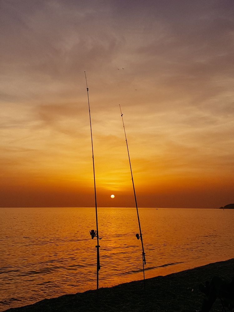 Photograph by Марина Маркина