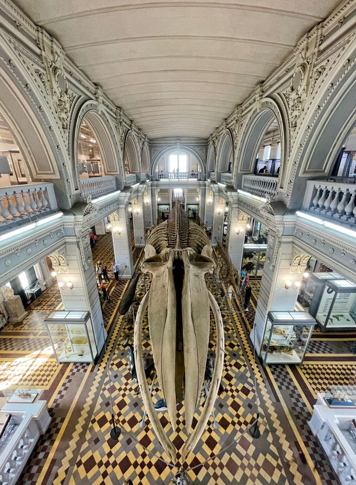 Photograph by Виктория Уварова