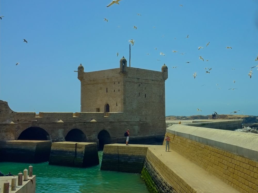 Photograph by honayn elhassani