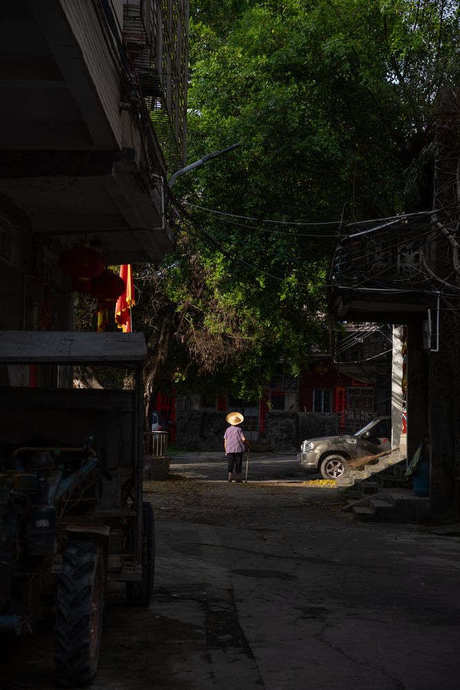 Photograph by wing pop