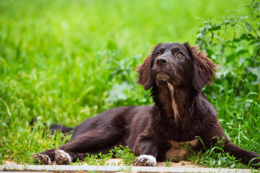 Photograph by Александр Александров