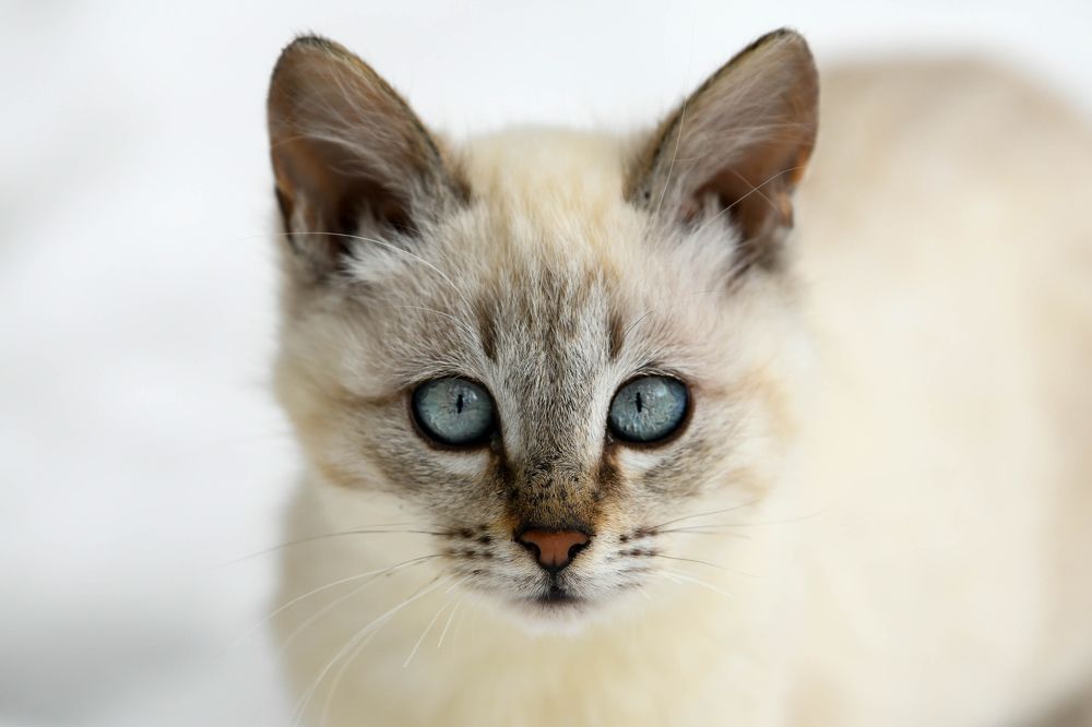 Photograph by Александр Александров