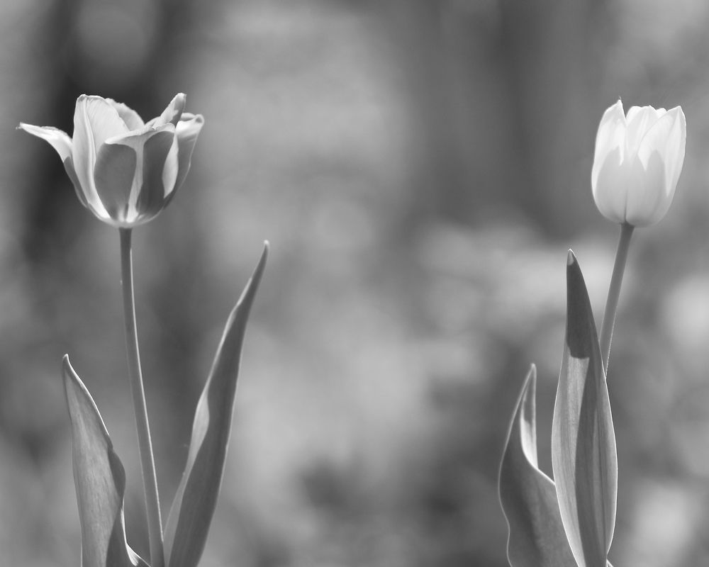 Photograph by Александр Затямин