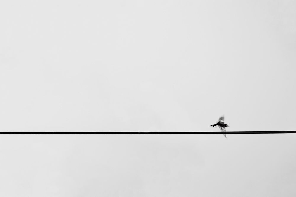 Photograph by safoura saeedi seta