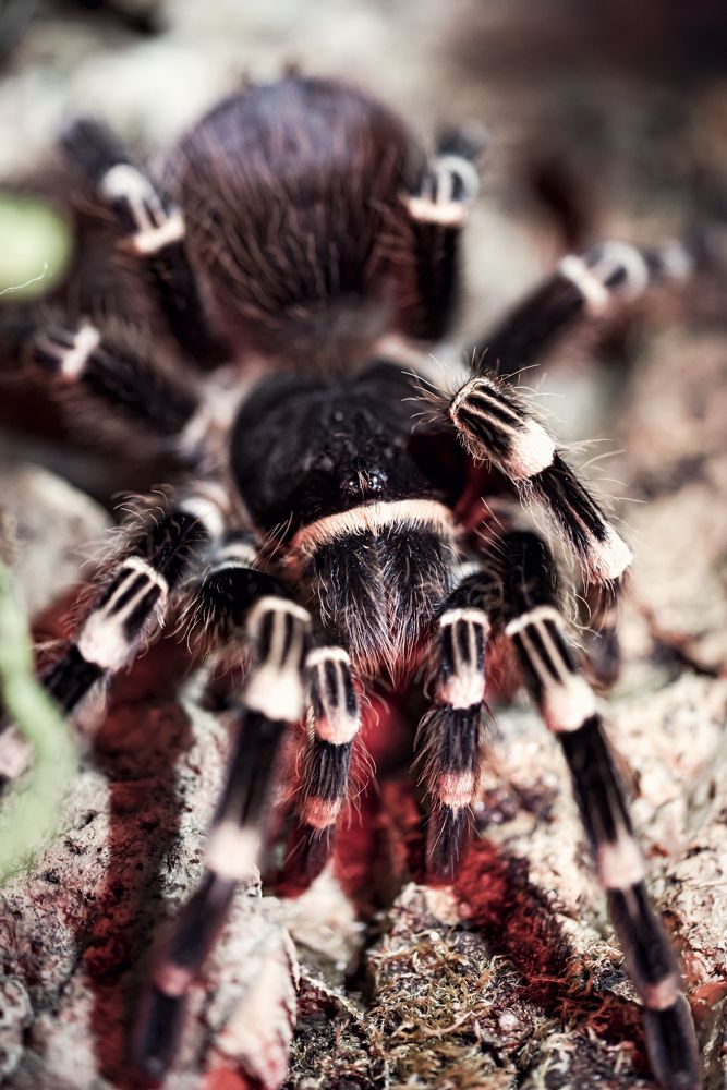 Photograph by Алексей Петров