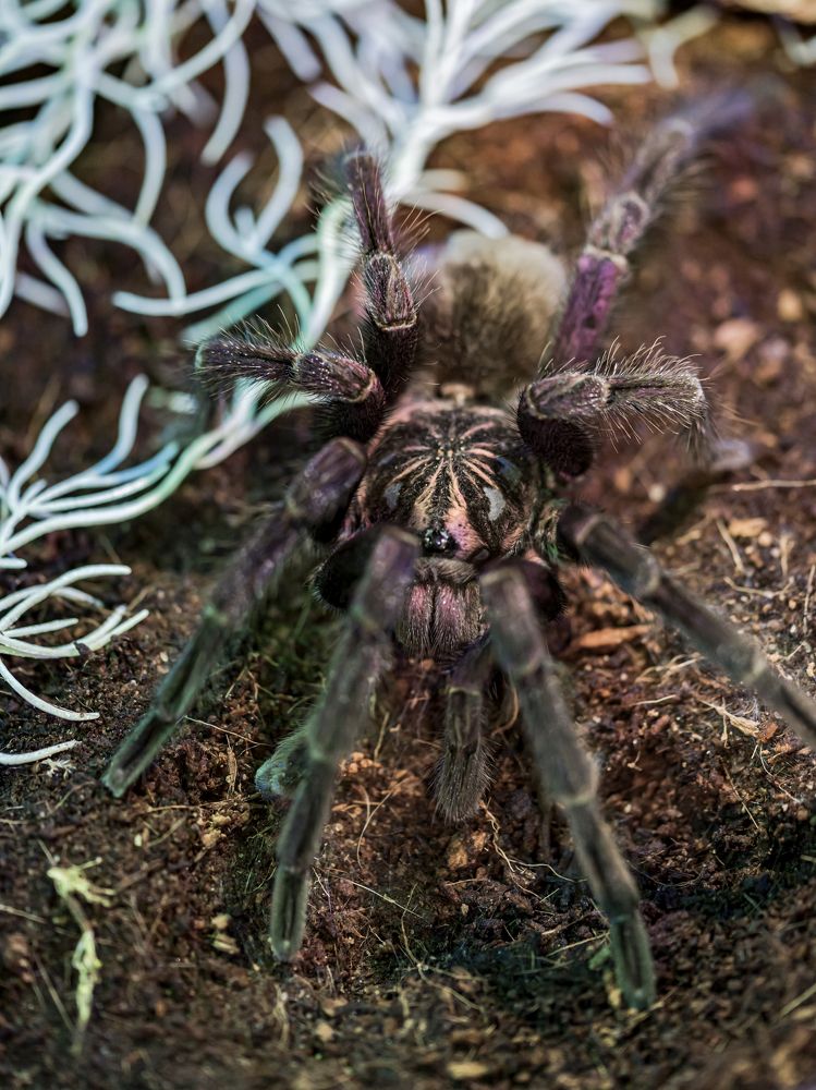 Photograph by Алексей Петров