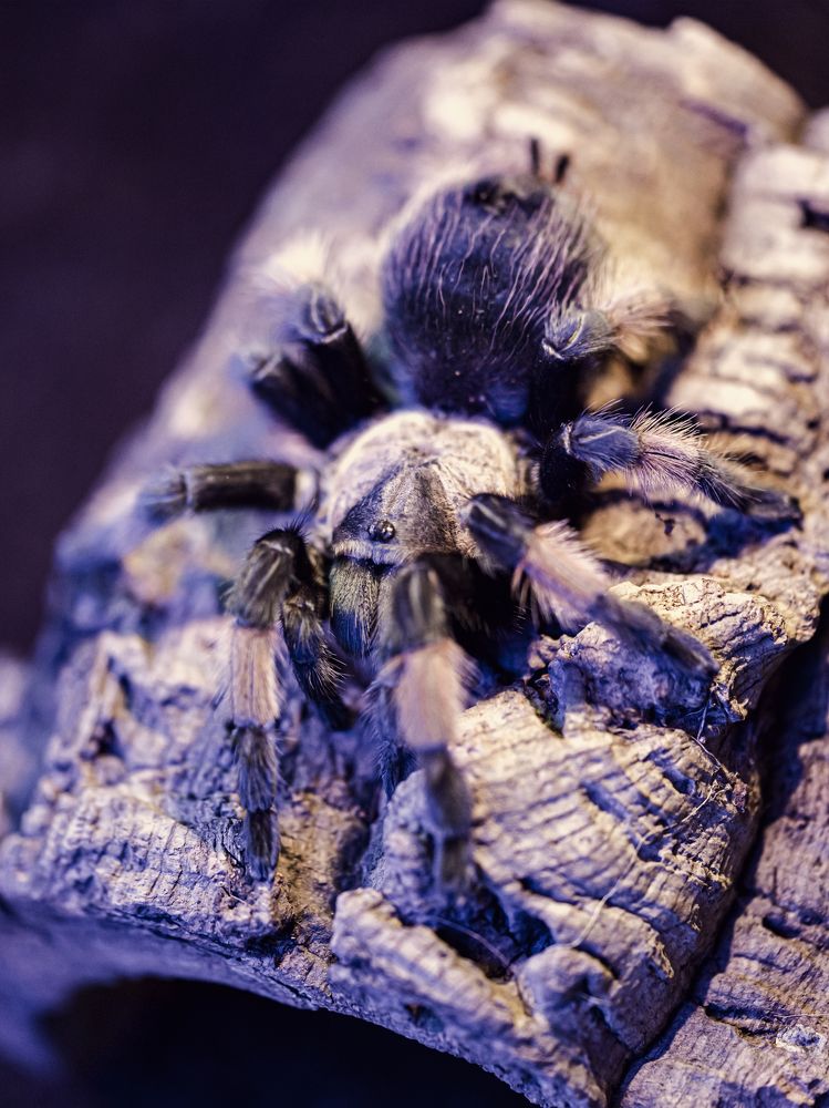 Photograph by Алексей Петров